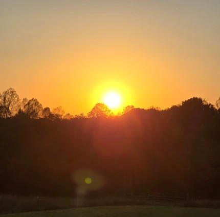 Virginia is Humbling